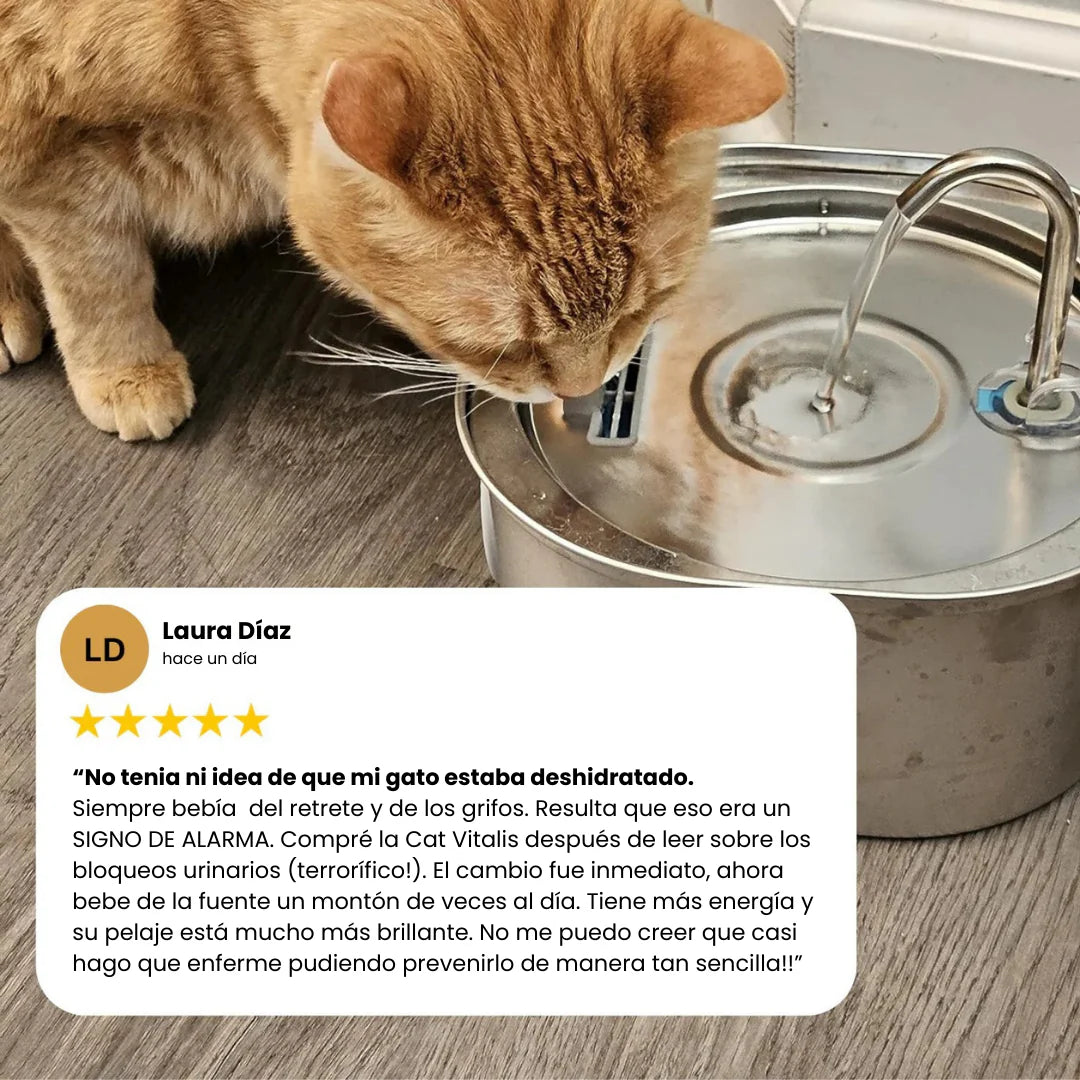AquaPure™ Fuente de agua para gatos