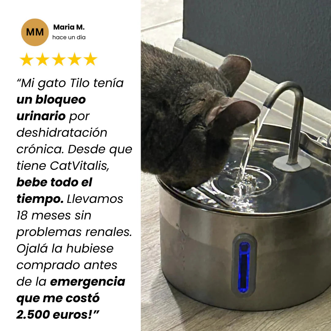 AquaPure™ Fuente de agua para gatos