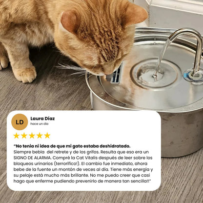 AquaPure™ Fuente de agua para gatos